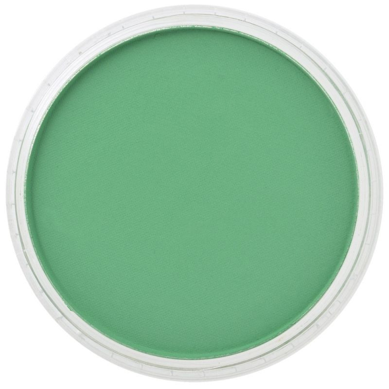 Пастель ультрамягкая PanPastel, зеленый прочный 26405