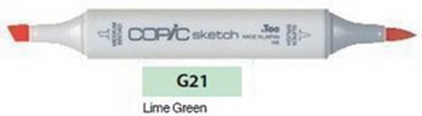 Маркер "COPIC sketch" G21