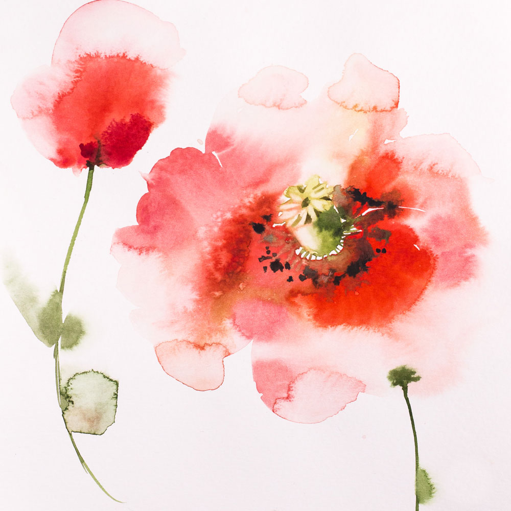 Бумага для акварели "White Swan", Torchon, Natural white, 10% хлопка, 250 г/м2, 50х70 см, 10л