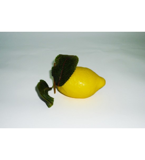 Муляж Лимон с листом