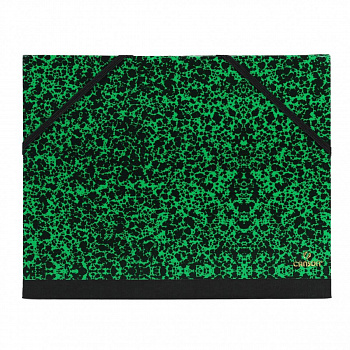 Папка Carton a Dessin Studio Canson 2 эластичные резинки размер 52*72см Цвет зеленый 